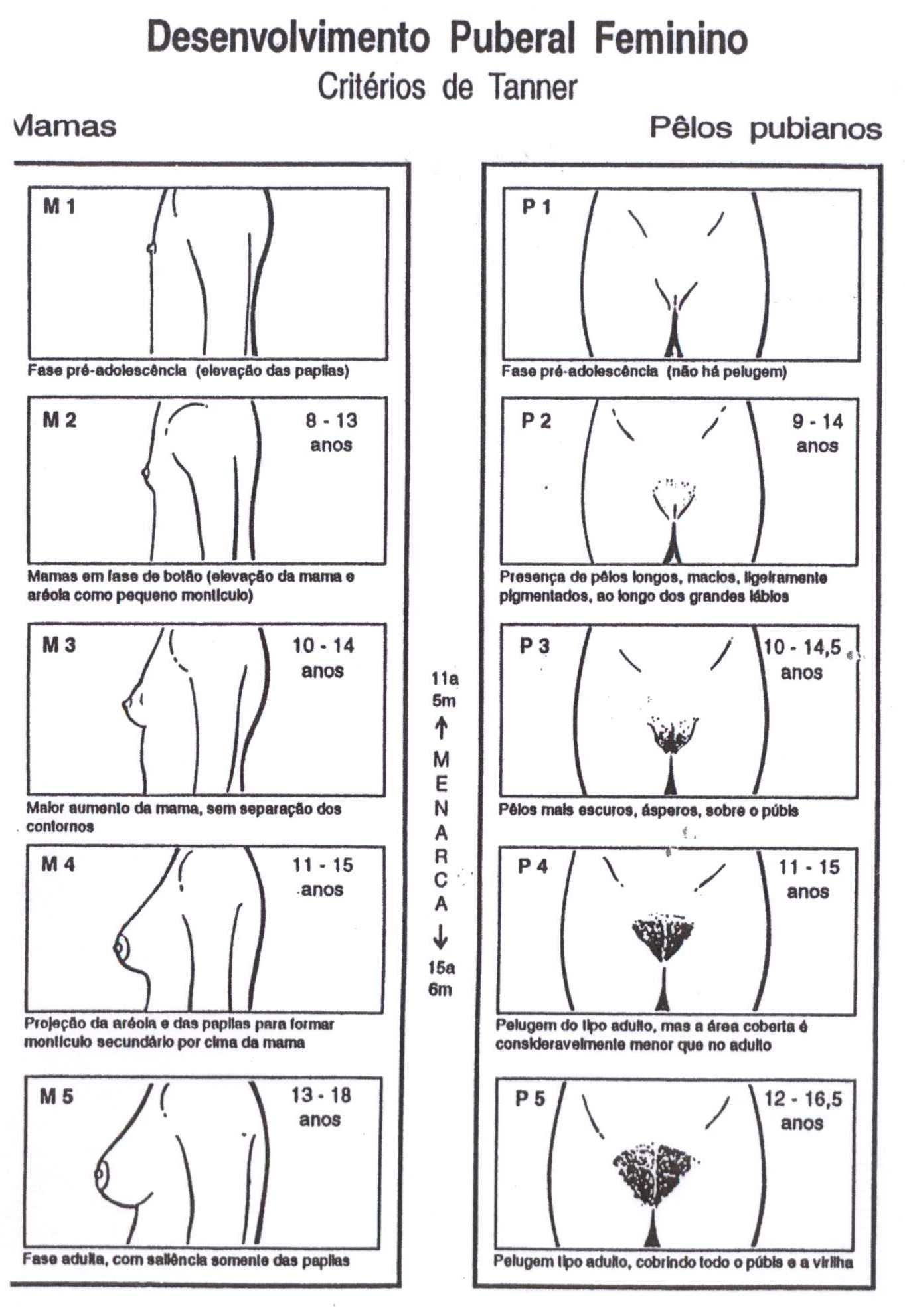 Malthus Medicina Legal